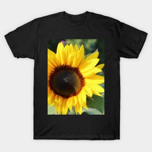 Bright and Cheery T-Shirt